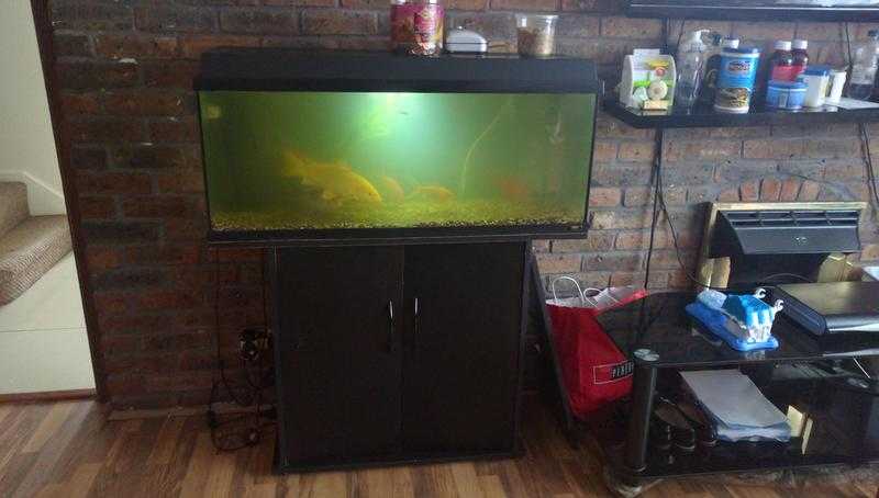 3ft Fish Tank open to offers