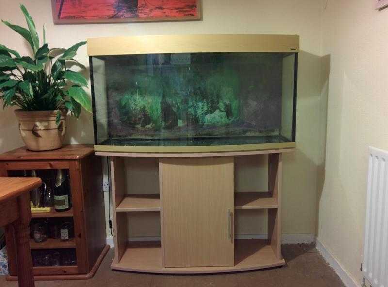 4 Foot AMAZON BOW FRONTED FISH TANK AND CABINET FOR SALE