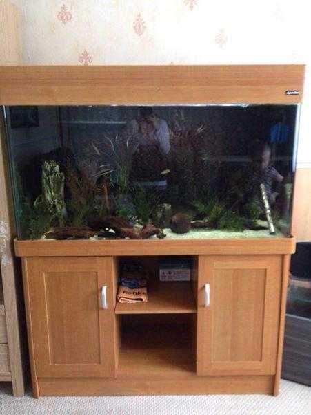 4 foot fish tank