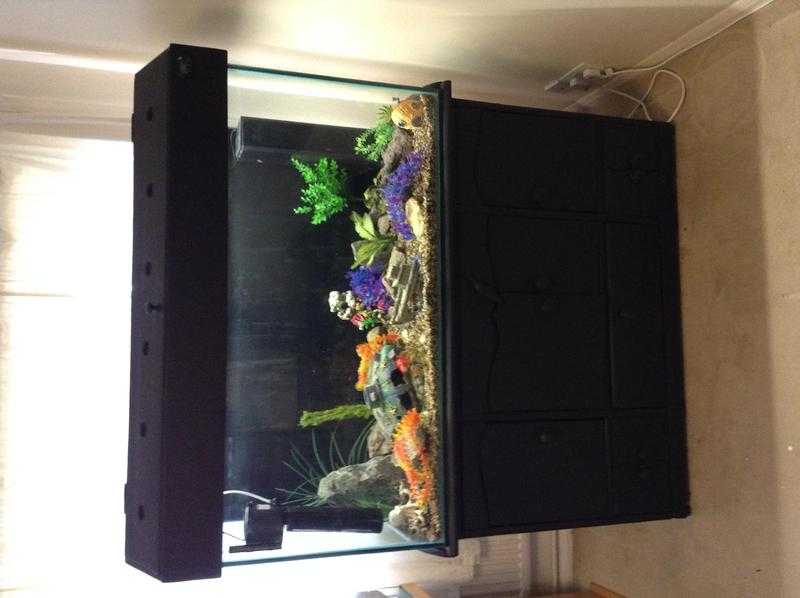 4 ft Fish Tank with Solid Wood Stand and Lid