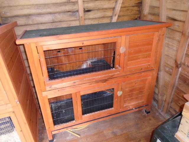 4039 Double RabbitGuinea Pig Hutch with Cover