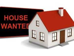 45 bed house wanted for long term let