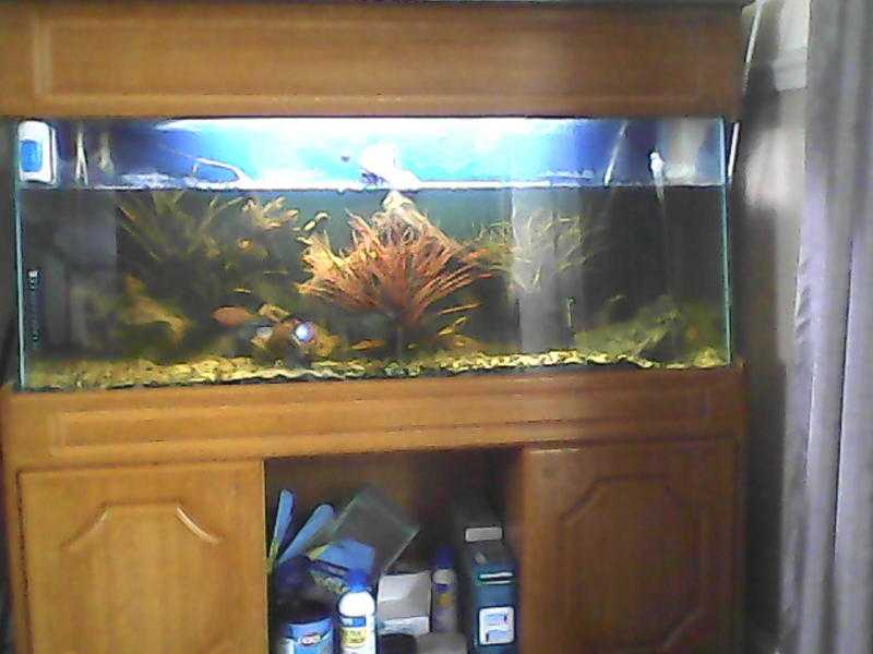 4foot tank and cabinet