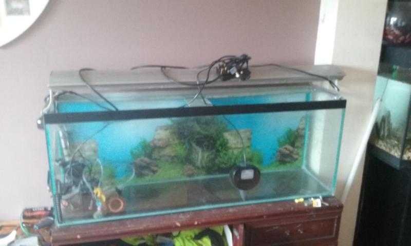 4ft fish tank