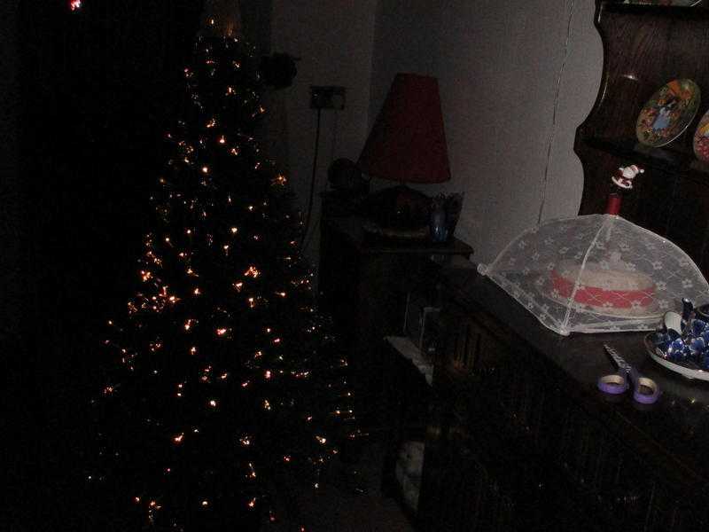 5 FEET FIBRE OPTIC XMAS WITH FAIRY AND STAND