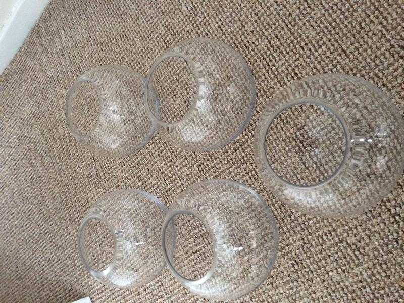 5 glass 5quot fish bowls