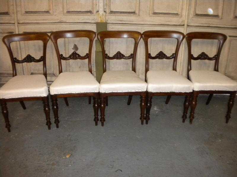 5 mahogsny  victoran dining chairs