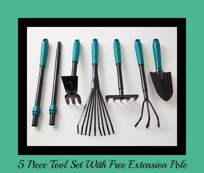 5 Piece Tool Set With Free Extension Pole