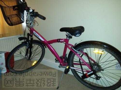 5-speed BiTwin lady bicycle 50