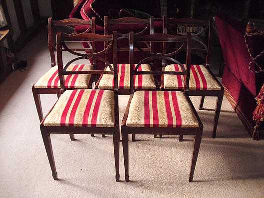 5 x Edwardian dining chairs