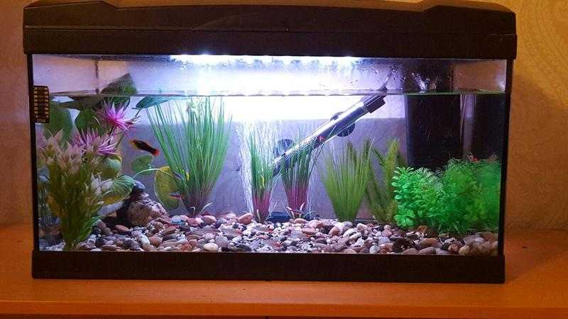 50 litre fish tank complete with pump,lights, filter and cabinet