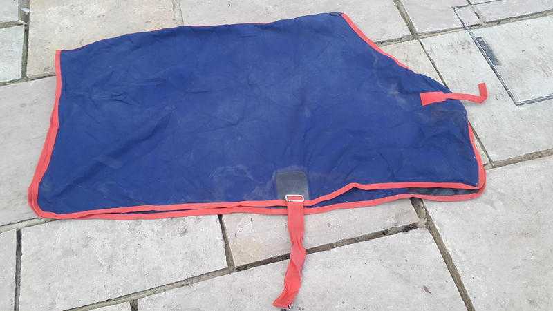 50396039039 Horse Fleece Rug