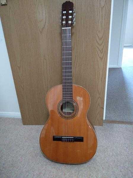 6 string acoustic guitar