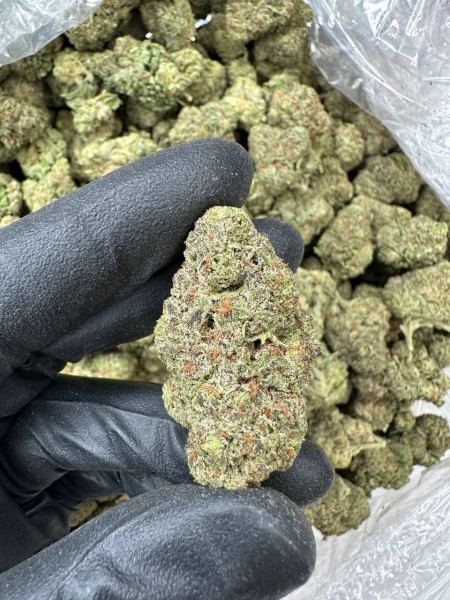 BUY 99% PURE GBL, GHB, PSYCHEDELIC, MDMA, CRYSTAL METH, DMT Carts, LSD, METH, THC Vape, CBD, Marijuana/Cannabis, Xanax, Molly, Weed, OXY, Crystal Ketamine, Ecstasy, Researched Chemicals, Magic mushroo