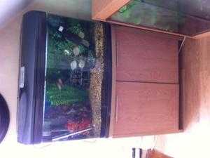 60L Bio orb fish tank