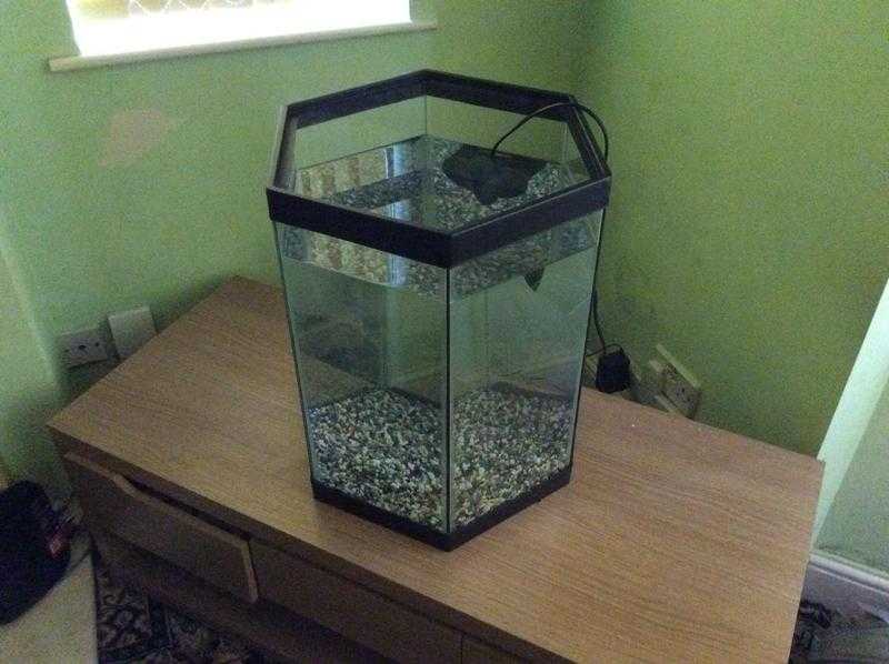 60l fish tank no branded