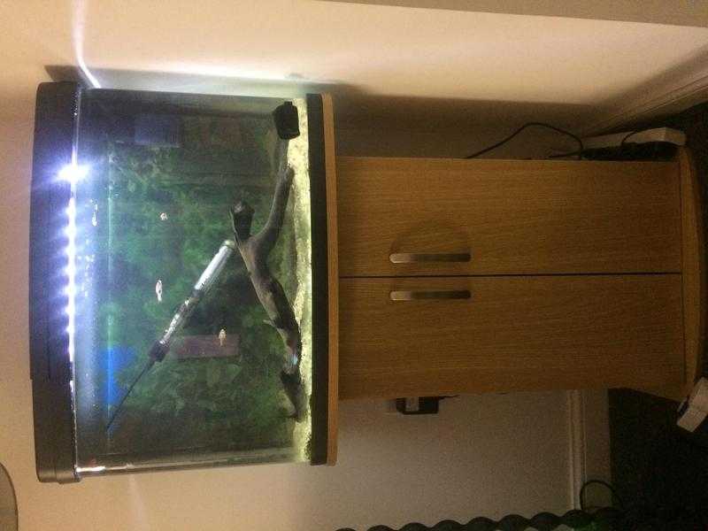 60Lt Panorama Aquarium  Stand