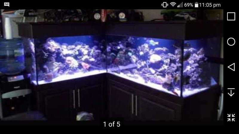 6ft x 5ft x 2ft corner fishtankreptile tank cabinet included aquarium