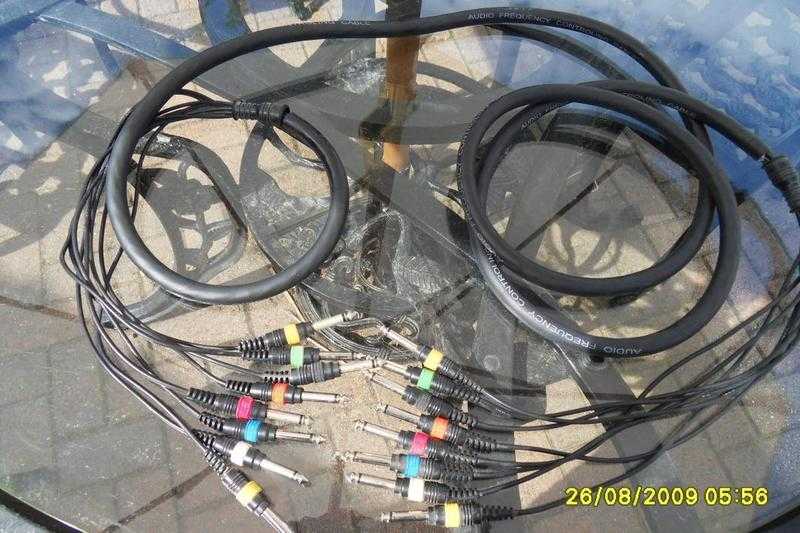 8 Channel audio loom cable.