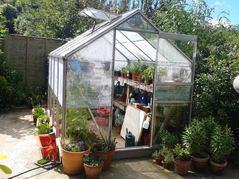 8x6 Greenhouse for sale