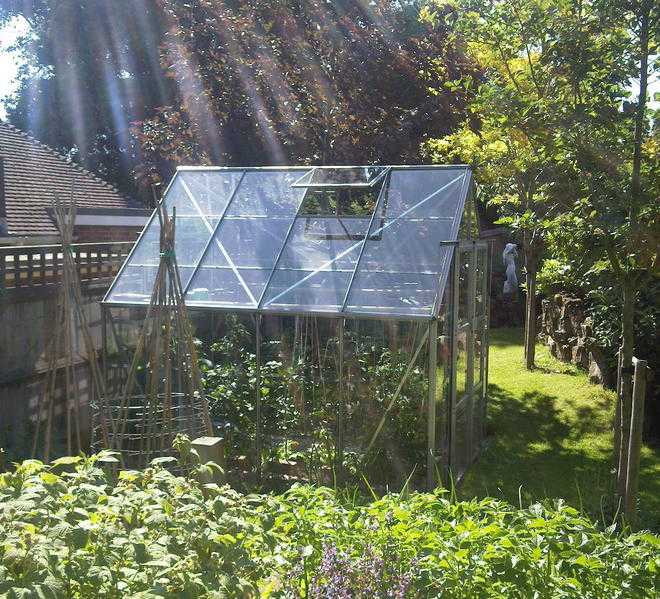 8x8 Greenhouse