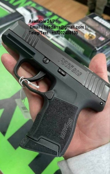 LifeCard 22 LR Pistol 