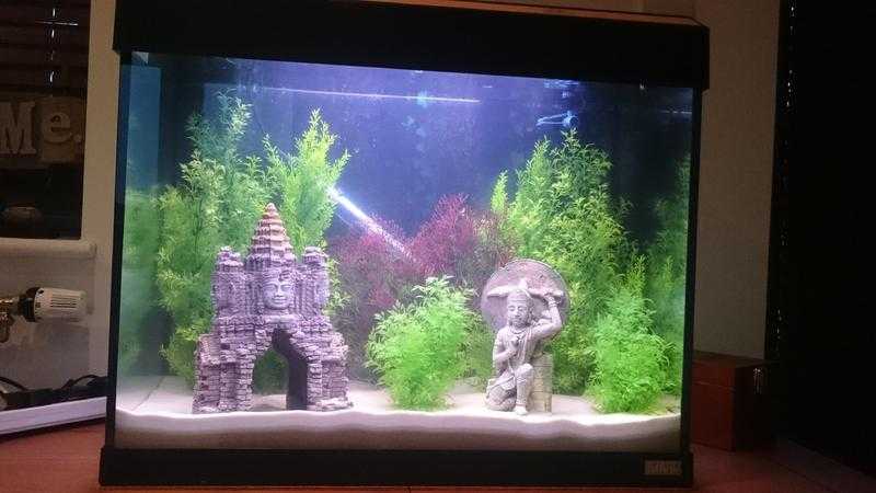 90Litre Black Fish Tank  all accessories