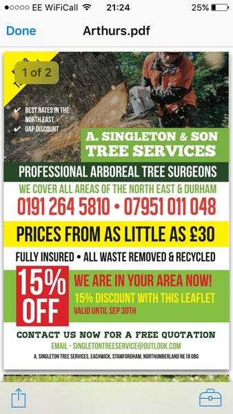 A Singleton amp Son Tree Service