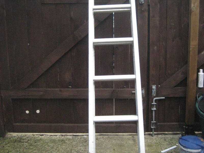 Abru Extending Ladders VGC