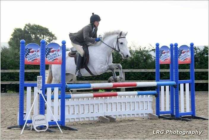 ABSOLOUTE BARGAIN FOR CRACKING COMPETITION PONY