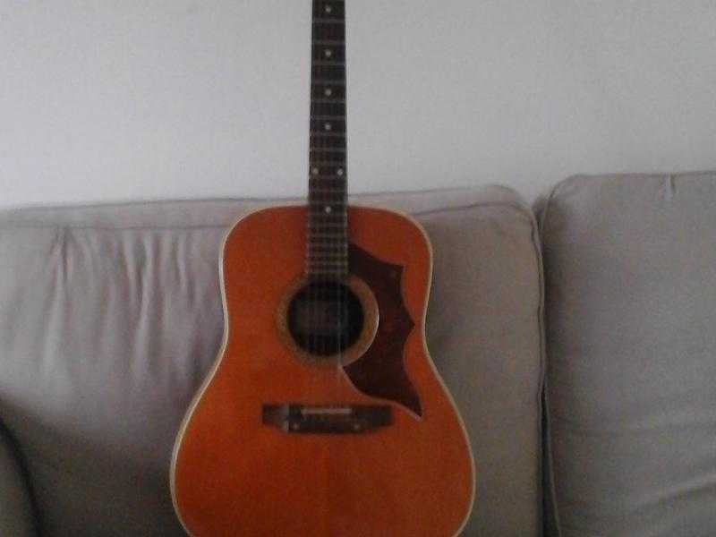 Accoustic Guitar