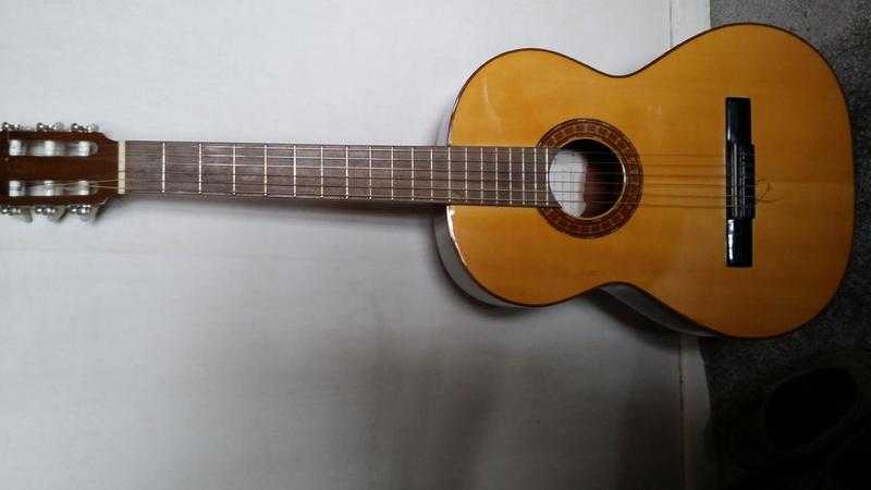 Accoustic guitar