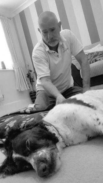 AchyPaw Therapeutic Canine Massage, Myotherapy and Classes