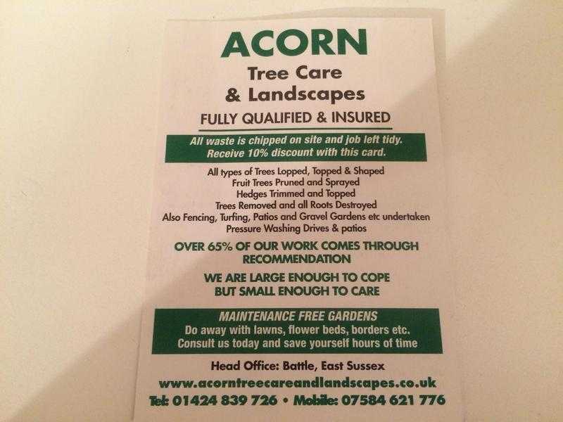 Acorn tree care and landscapes