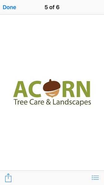 Acorn tree care qualified and insured