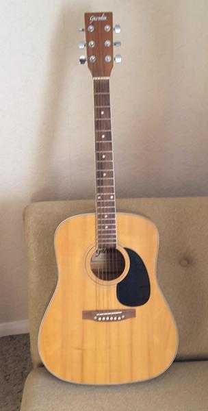 Acoustic guitar