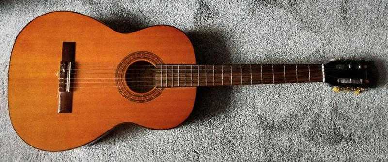 Acoustic Guitar