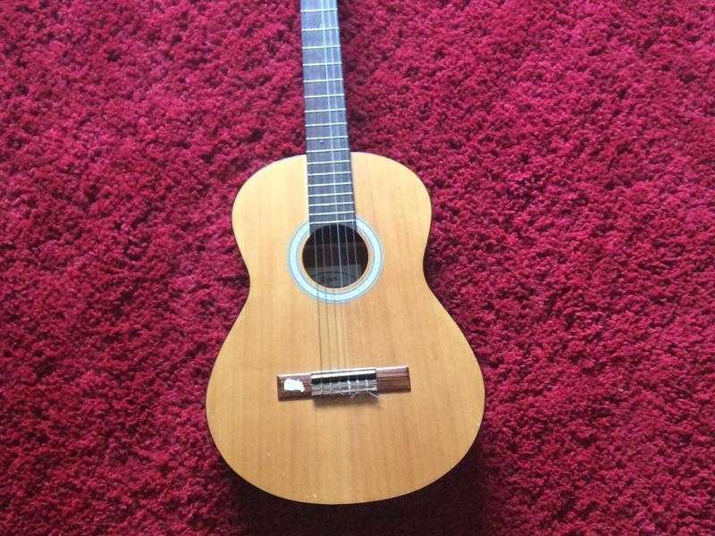 Acoustic guitar