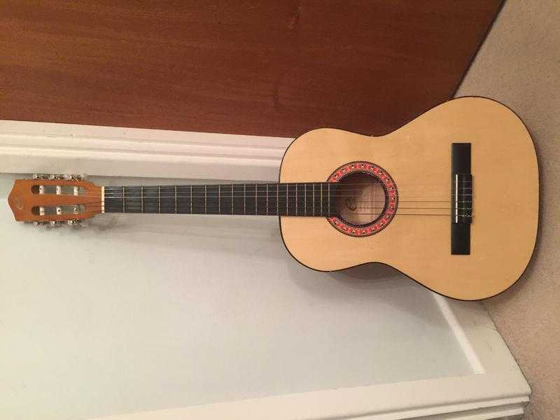 Acoustic Guitar