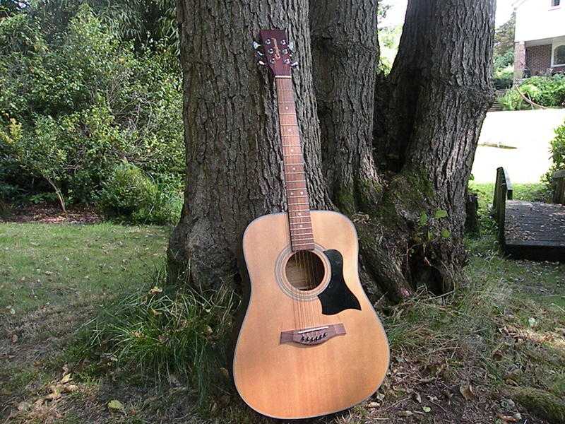 Acoustic Guitar