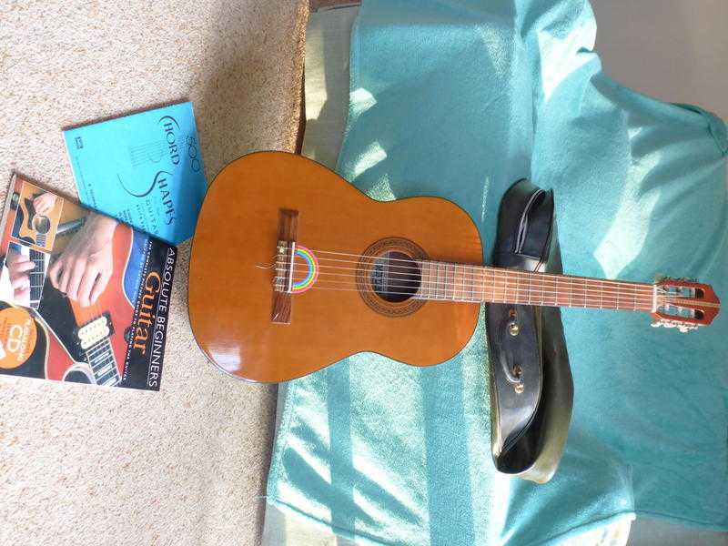 Acoustic Guitar