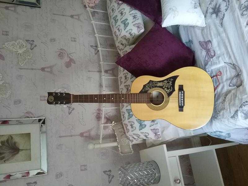 Acoustic guitar