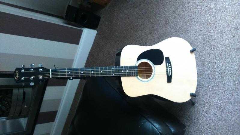 Acoustic guitar (adult)