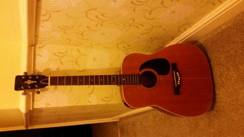 Acoustic hokada W-10 guitar