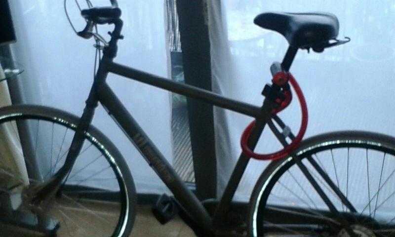 Adult bicycle for sale