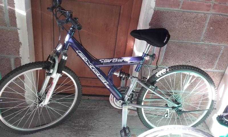 Adult Bike