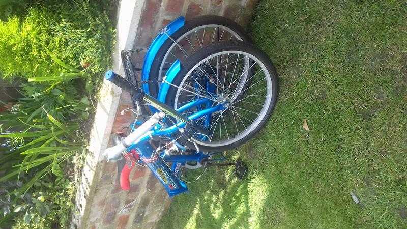 Adult blue folding bike