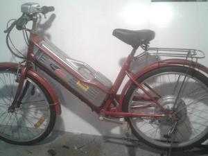 Adult electric bicycle