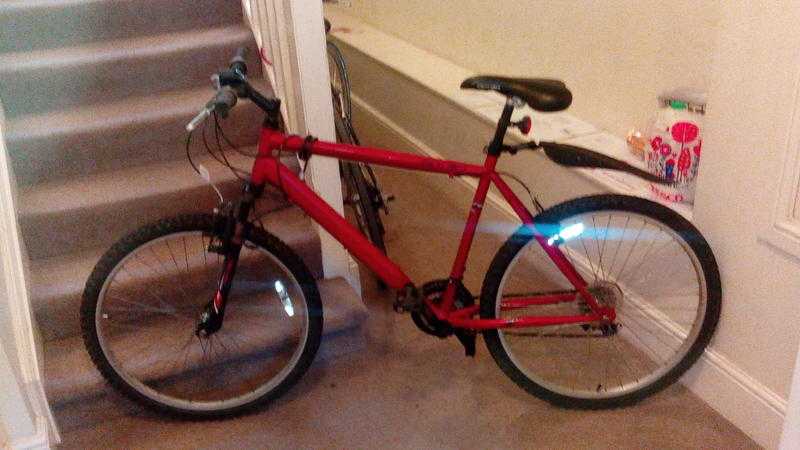 adult men039s bike