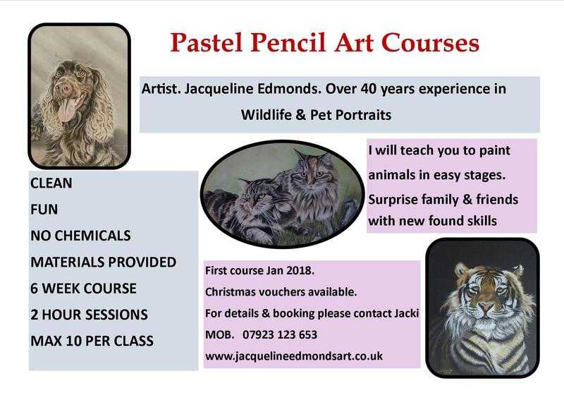 Adult Pastel Pencil beginners course